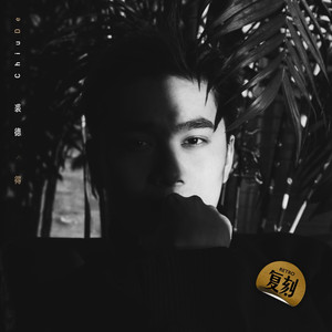 有免费的成人av在线网站
